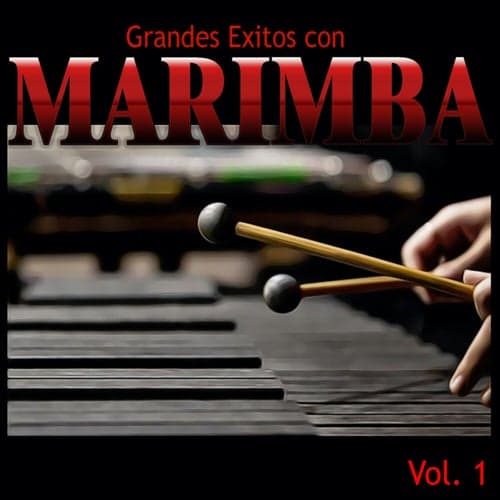 Grandes Exitos Con Marimba, Vol.1
