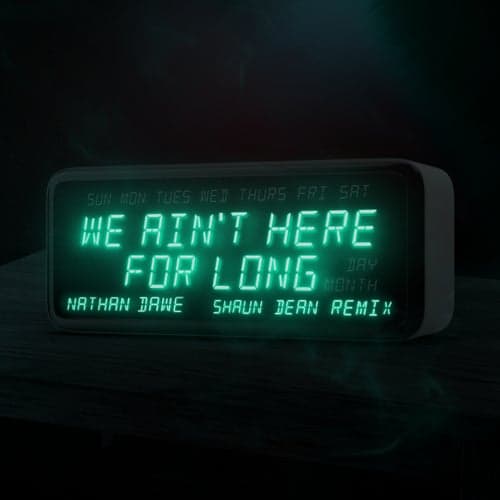 We Ain't Here For Long (Shaun Dean Remix)