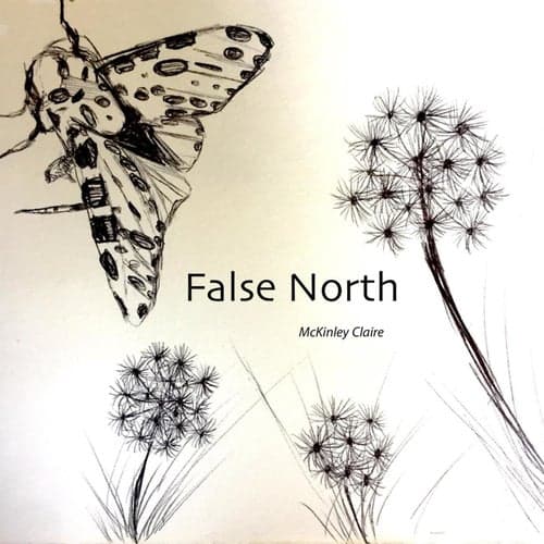 False North