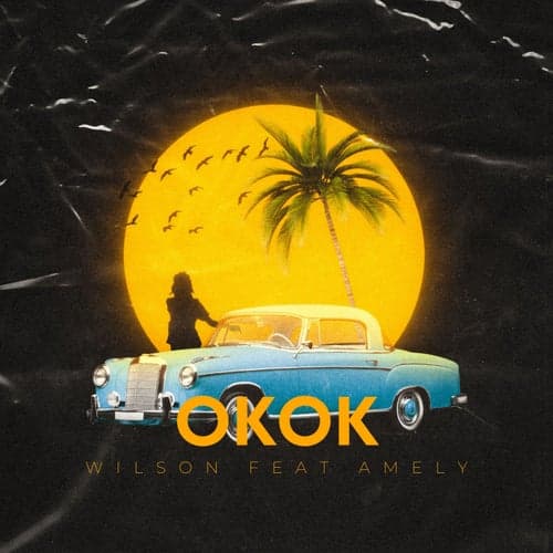 Ok ok (feat. AMELY)