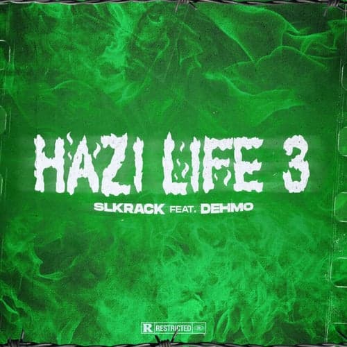 Hazi Life 3