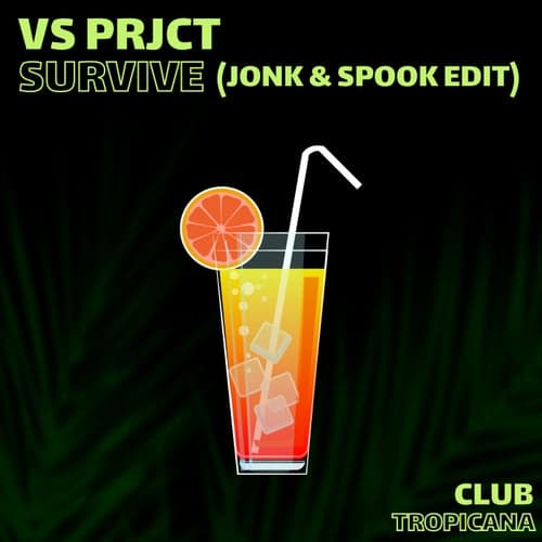 Survive (Jonk & Spook Radio Edit)