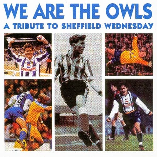 We Are The Owls