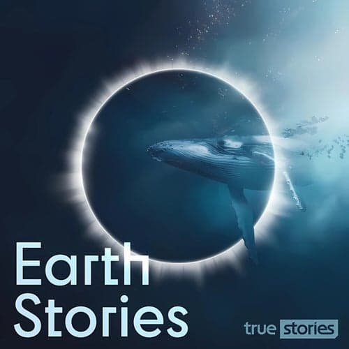 Earth Stories
