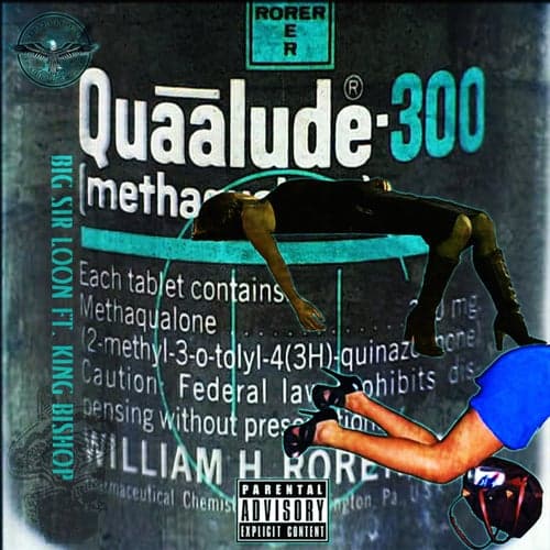 Quaaludes (feat. King Bishop) - Single