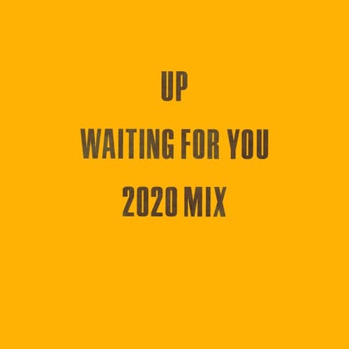 Waiting for You (2020 Mix)