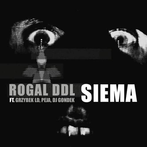 Siema (feat. Grzybek LD, Peja, DJ Gondek)