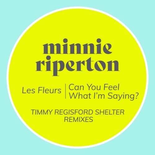 Les Fleurs / Can You Feel What I'm Saying? (Timmy Regisford Shelter Remixes)
