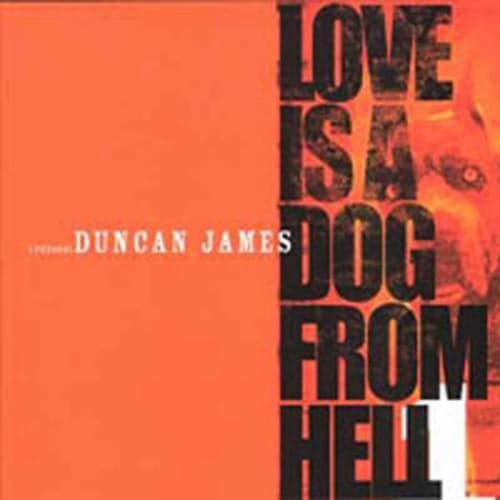 Love Is a Dog From Hell