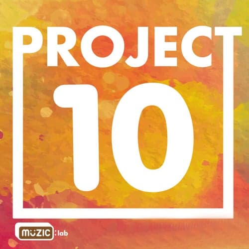 Project 10, Vol. 3