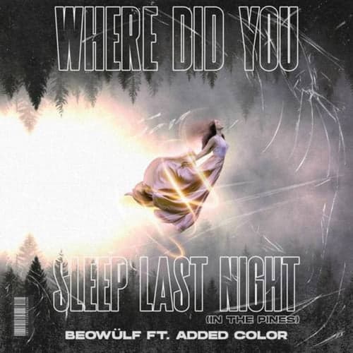 Where Did You Sleep Last Night (In The Pines)