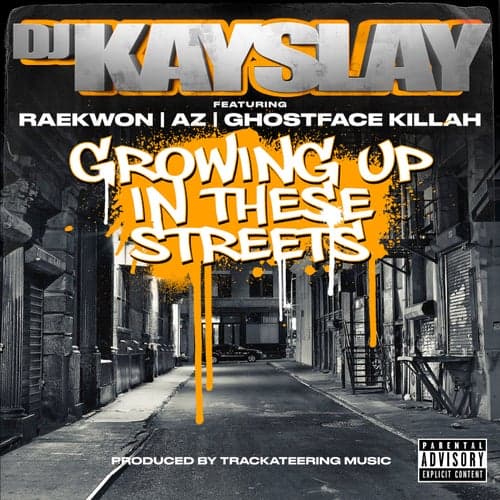 Growing Up In These Streets (feat. Raekwon, AZ & Ghostface Killah)