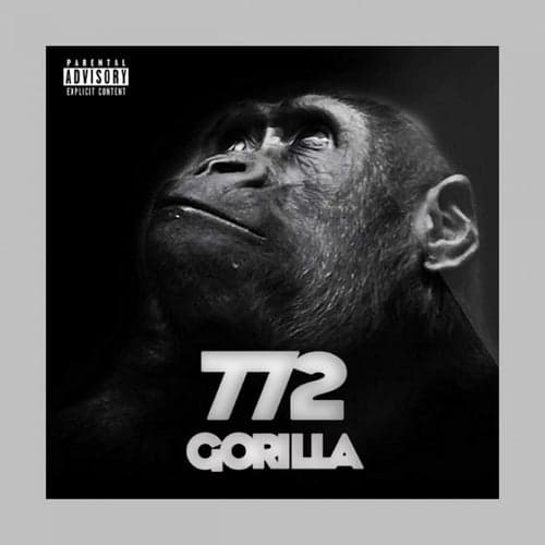 772 Gorilla