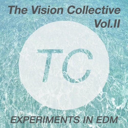 The Vision Collective, Vol. II