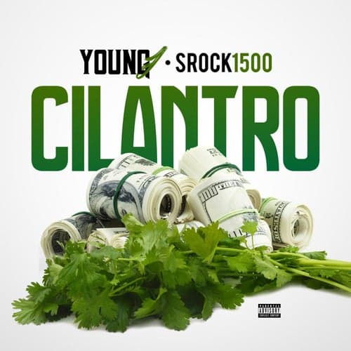 Cilantro  (feat. Srock1500)