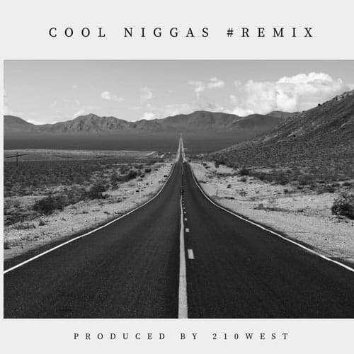 Cool Niggas (Remix)