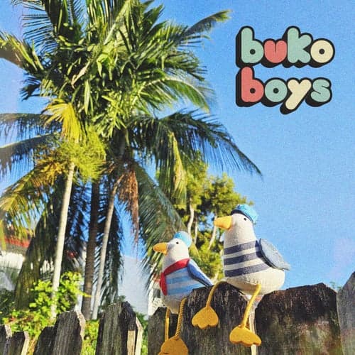 buko boys (Live at Biscayne Bay)