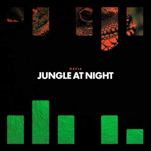 Jungle At Night