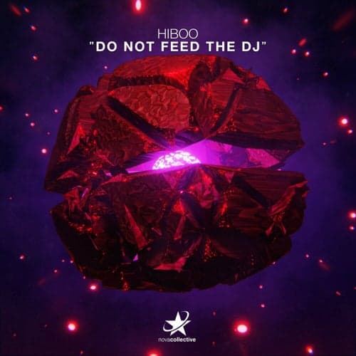 Do Not Feed the DJ