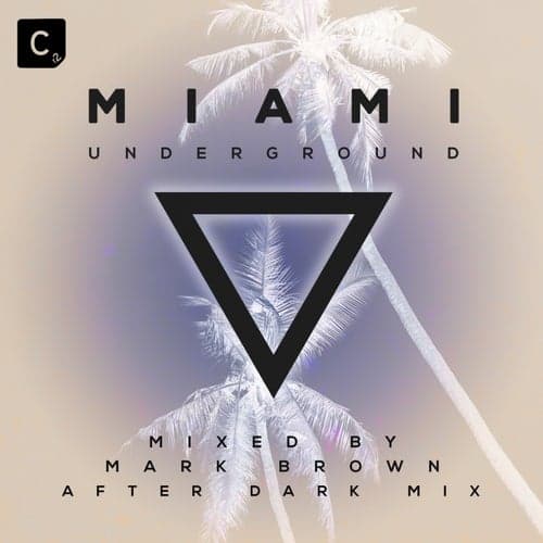 Miami Underground 2019 (After Dark DJ Mix)
