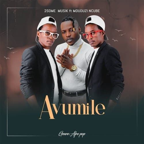 Avumile (feat. Mduduzi Ncube)