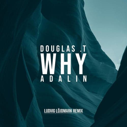 Why (Ludvig Löjdmark Remix)