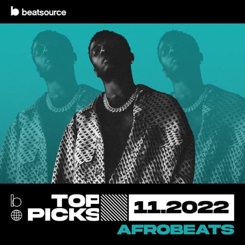 Afrobeats Top Picks November 2022 playlist