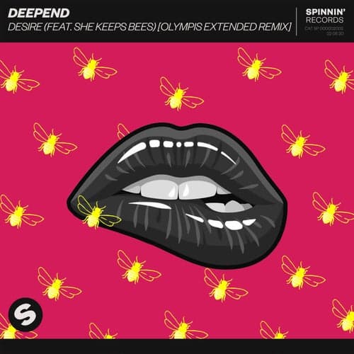 Desire (feat. She Keeps Bees) [Olympis Extended Remix]