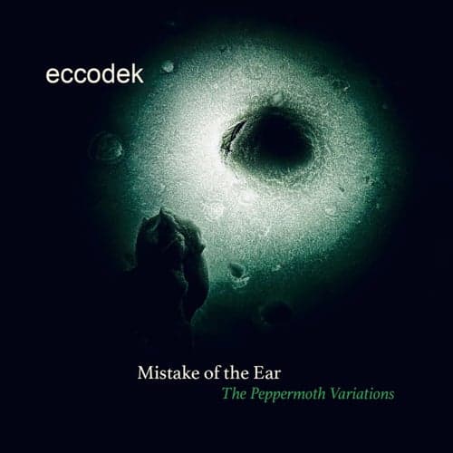 Mistake of the ear