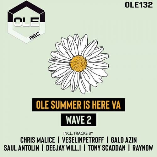 Ole Summer Is Here VA Wave 2