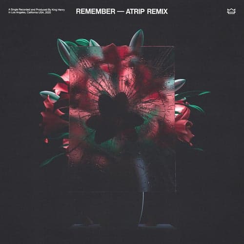 Remember (ATRIP Remix)