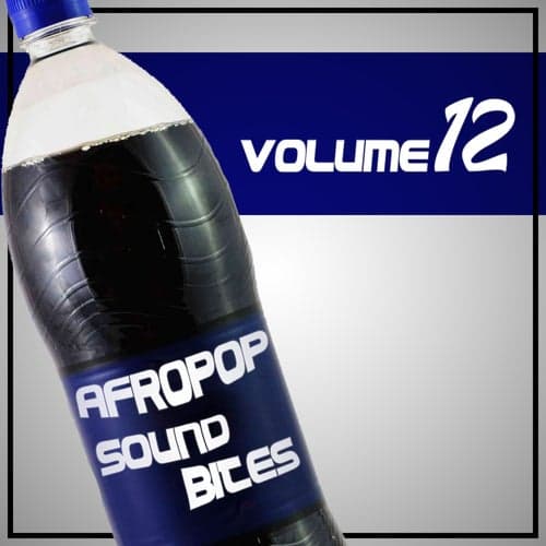 Afropop Sound Bites, Vol.12