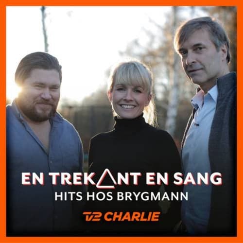 En Trekant En Sang 8 - Hits Hos Brygmann