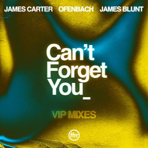 Can't Forget You (feat. James Blunt) [Extended] [VIP Mixes]