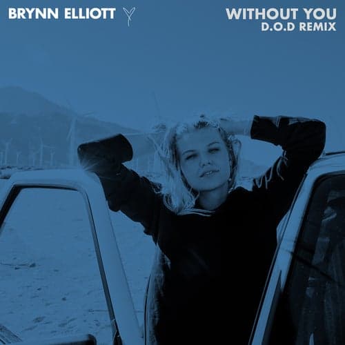 Without You (D.O.D Remix)