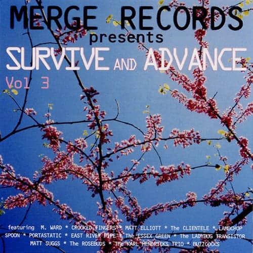 Survive and Advance Vol. 3: A Merge Records Compilation