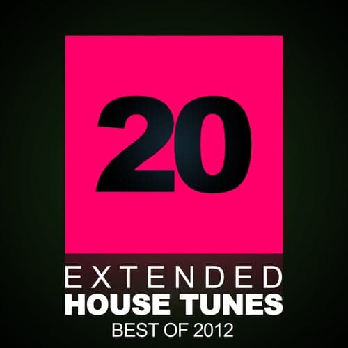 20 Extended House Tunes - Best Of 2012