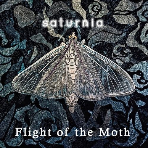 Flight of the Moth