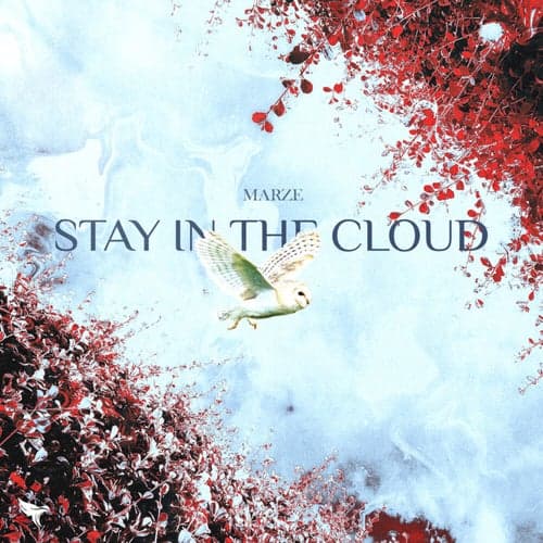 Stay In The Cloud