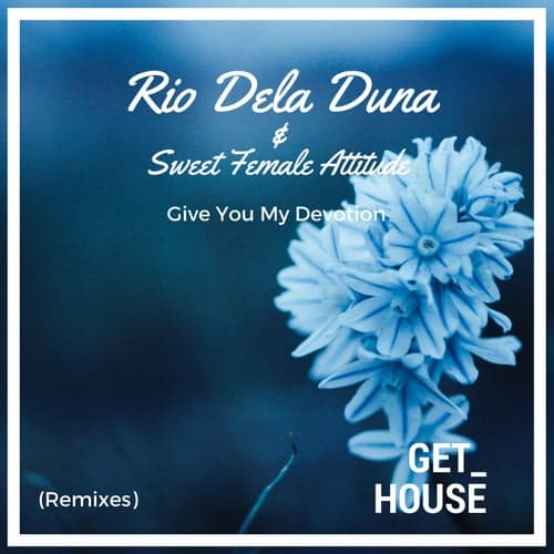 Give You My Devotion (Remixes)