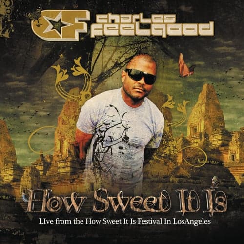 How Sweet It Is "Live" (Continuous DJ Mix by Charles Feelgood)