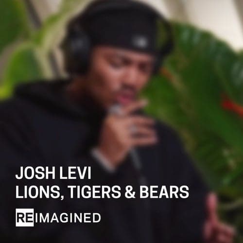 Lions, Tigers & Bears (Reimagined)
