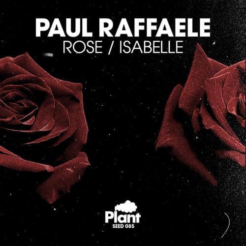 Rose / Isabelle (Remixes)