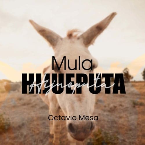 Mula Hijueputa