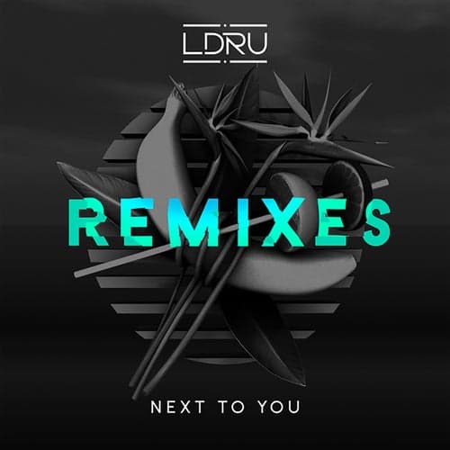 Next to You (feat. Savoi) [Remixes]