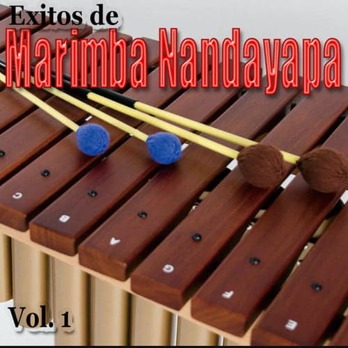 Exitos de Marimba Nandayapa, Vol.1