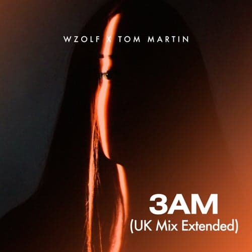 3AM (UK Mix Extended)