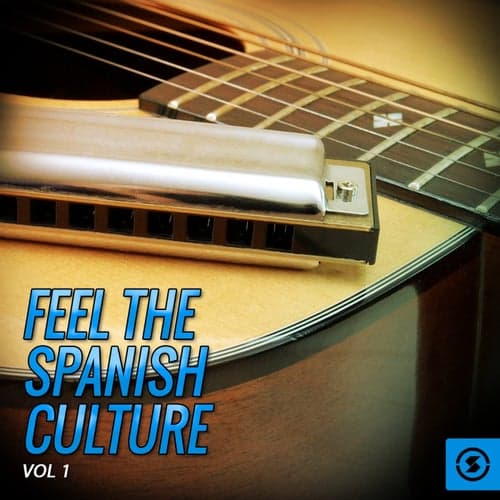 Feel The Spanish Culture, Vol. 1