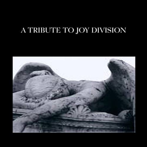 A Tribute to Joy Division