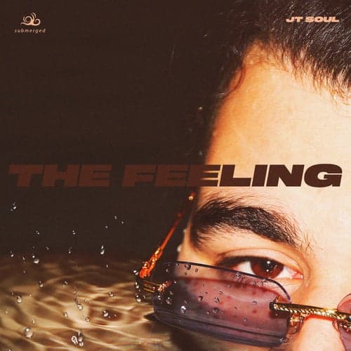 The Feeling (For You)